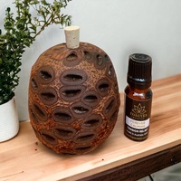 Aroma Banksia Pod - Large plus Essential Oil
