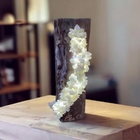 Apophyllite Crystal Lamp - Handcrafted With Love