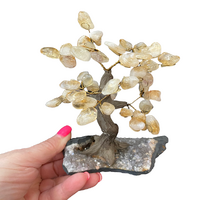 Citrine Crystal Tree Includes Amethyst Base