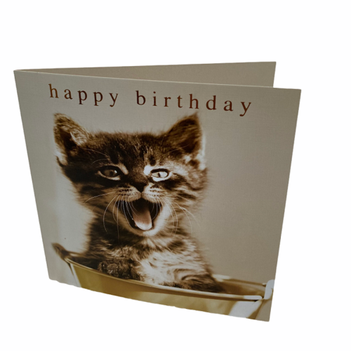 Happy Birhday Card - Cat